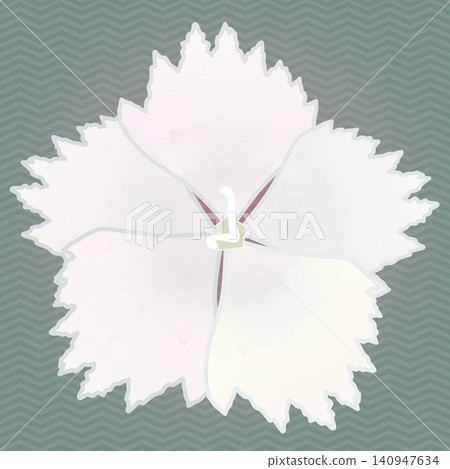 Illustration of a dianthus with a background Illustration of a dianthus with a background 140947634