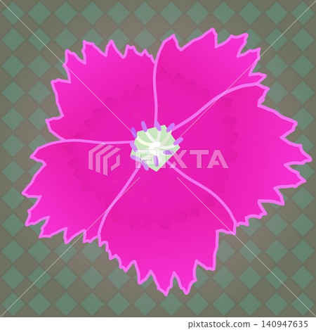 Illustration of a dianthus with a background Illustration of a dianthus with a background 140947635