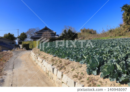 瀨戶內海中的前島,遍布著大片白菜田。 瀨戶內海中的前島,遍布著大片白菜田。 140948097