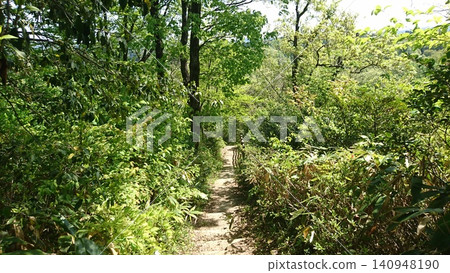 Path in the forest Path in the forest 140948190