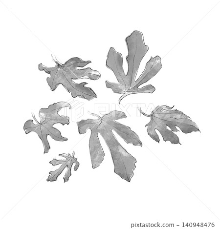 Hand-drawn illustration of a fig leaf 140948476