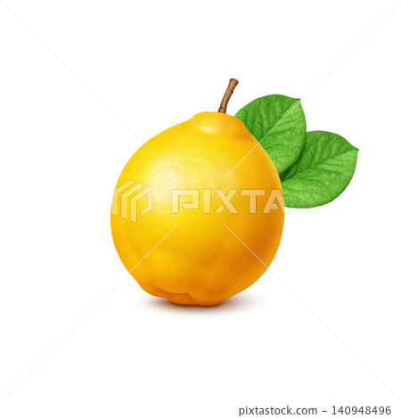 卡琳插畫,寫實卡琳 卡琳插畫,寫實卡琳 140948496