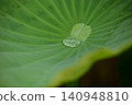 荷葉上積水 140948810