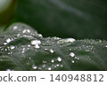荷葉上掛滿了雨滴 140948812