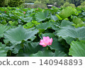 風景與蓮花 140948893