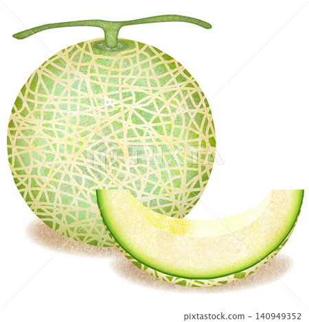 Watercolor style melon illustration Watercolor style melon illustration 140949352