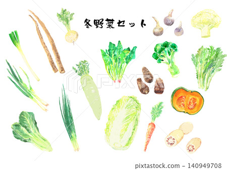 Winter Vegetable Watercolor Illustration Set (Vector) Winter Vegetable Watercolor Illustration Set (Vector) 140949708
