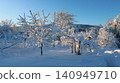 A snow-covered garden on a bright sunny morning. The branches of the garden trees and shrubs are covered in fluffy white snow, and deep drifts lie on the ground. A quiet winter rural landscape. 140949710
