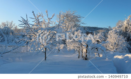 A snow-covered garden on a bright sunny morning. The branches of the garden trees and shrubs are covered in fluffy white snow, and deep drifts lie on the ground. A quiet winter rural landscape. A snow-covered garden on a bright sunny morning. The branches of the garden trees and shrubs are covered in fluffy white snow, and deep drifts lie on the ground. A quiet winter rural landscape. 140949710