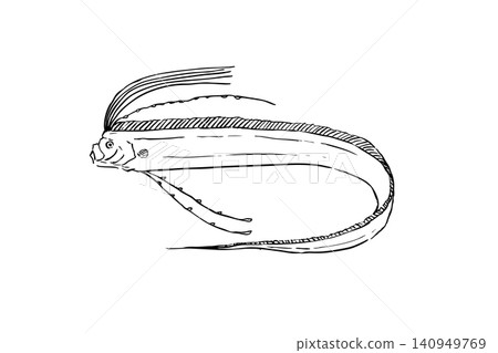 Line art illustration of a oarfish on a white background Line art illustration of a oarfish on a white background 140949769