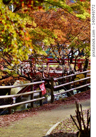 Scenery of autumn leaves Scenery of autumn leaves 140949772