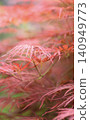 Fall landscape 140949773