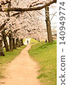 Cherry blossom tunnel 140949774