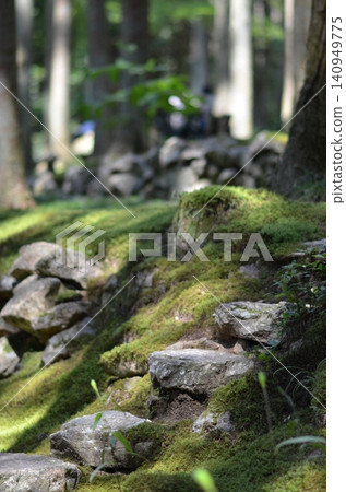 Small stone steps covered in moss Small stone steps covered in moss 140949775