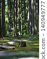 A mossy forest bathed in sunlight 140949777