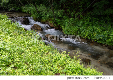 A river flowing through the mountains, Omachi City, Nagano Prefecture A river flowing through the mountains, Omachi City, Nagano Prefecture 140950007