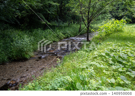 A river flowing through the mountains, Omachi City, Nagano Prefecture A river flowing through the mountains, Omachi City, Nagano Prefecture 140950008