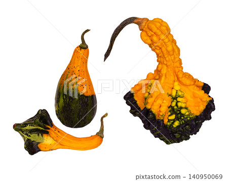 decorative pumpkins isolated on white background decorative pumpkins isolated on white background 140950069