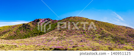 Mountains in full bloom with Miyama Kirishima azaleas - Kuju Mountain Range, Oita Prefecture 140951125