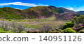 Mountains in full bloom with Miyama Kirishima azaleas - Kuju Mountain Range, Oita Prefecture 140951126