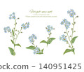 Watercolor hand-painted forget-me-not vector illustration 140951425