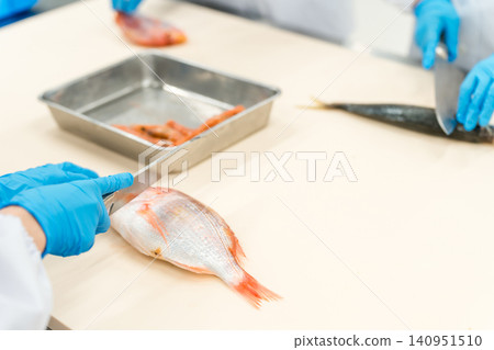 Fisheries processing, fish preparation, and cooking staff (food processing, central kitchen, vocational school) Fisheries processing, fish preparation, and cooking staff (food processing, central kitchen, vocational school) 140951510