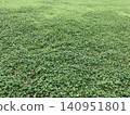 Lawn 140951801