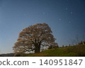 The fully bloomed Daigo cherry blossoms and constellations The fully bloomed Daigo cherry blossoms and constellations 140951847