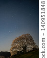 The Daigo cherry blossoms in full bloom, illuminated by moonlight. The Daigo cherry blossoms in full bloom, illuminated by moonlight. 140951848