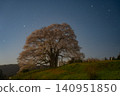 Daigo cherry blossoms floating in the starry sky Daigo cherry blossoms floating in the starry sky 140951850
