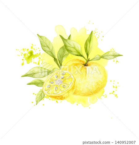 Yellow yuzu fruits, green foliage and citrus slice watercolor composition clipart with splatter accents for juice packaging, cosmetic labels, recipe books, invitations, menus and advertising. Yellow yuzu fruits, green foliage and citrus slice watercolor composition clipart with splatter accents for juice packaging, cosmetic labels, recipe books, invitations, menus and advertising. 140952007