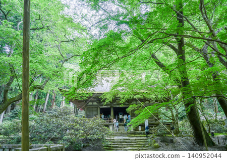 Tourists praying at the main hall of Murō-ji Temple in Uda City, Nara Prefecture, surrounded by fresh greenery. 140952044