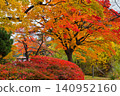 The tranquility reflected in the autumn leaves of Sapporo 140952160