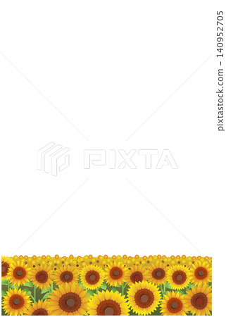 Summer sunflower field landscape Summer sunflower field landscape 140952705