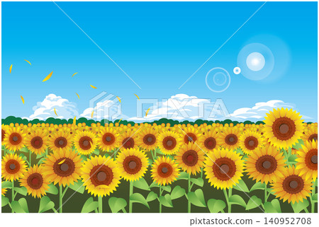 Summer sunflower field landscape Summer sunflower field landscape 140952708