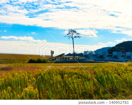 A lone pine tree on a clear autumn day (Rikuzentakata City, Iwate Prefecture) A lone pine tree on a clear autumn day (Rikuzentakata City, Iwate Prefecture) 140952781