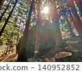 Giant rocks in the forest, enveloped in mystical light 140952852