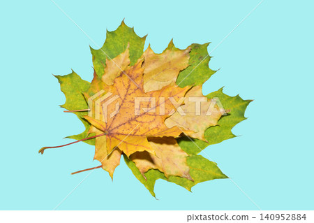 autumn leaves resting on blue background top-down view calm and serene nature photography seasonal themes decor yellow green commercial natural light clean copy space modern bright warm. autumn leaves resting on blue background top-down view calm and serene nature photography seasonal themes decor yellow green commercial natural light clean copy space modern bright warm. 140952884