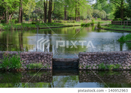 Stone weirs and tranquil ponds in lush Japanese parks Stone weirs and tranquil ponds in lush Japanese parks 140952963