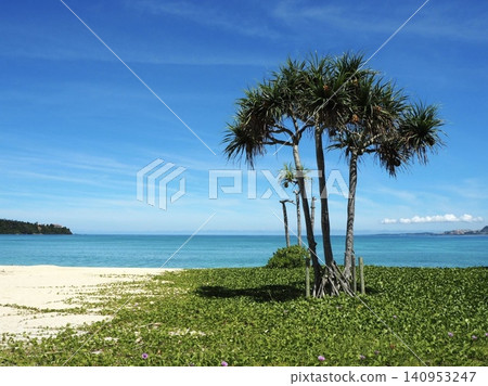 Beautiful beach of Okinawa 140953247