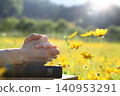 A Christian praying in a beautiful sunlit flower garden, background of faith, worship, and prayer 140953291