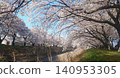 A spring scene along the river adorned with cherry blossom trees. 140953305