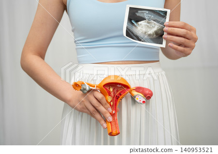 Uterus ultrasound, Asian woman holding human anatomy model. 140953521