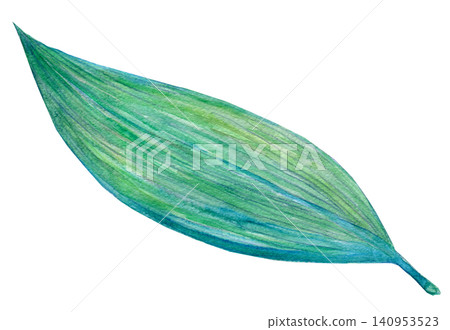 Watercolor illustration, hand-drawn illustration, bamboo leaves Watercolor illustration, hand-drawn illustration, bamboo leaves 140953523