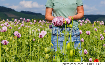 Woman walking through pink poppy field in summer countryside. Woman walking through pink poppy field in summer countryside. 140954373
