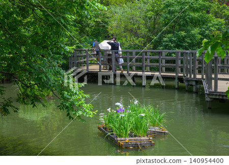 東京大田區,浮潛池和碼頭上漂浮的鳶尾花 東京大田區,浮潛池和碼頭上漂浮的鳶尾花 140954400