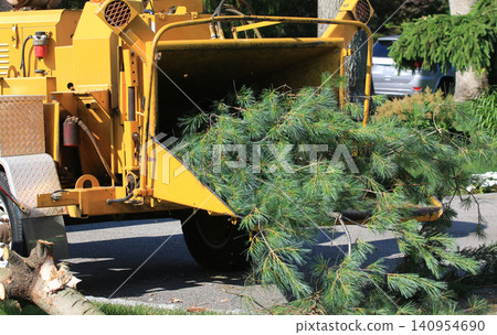 Wood Chipping Machine Processes Pine Tree Branches Wood Chipping Machine Processes Pine Tree Branches 140954690