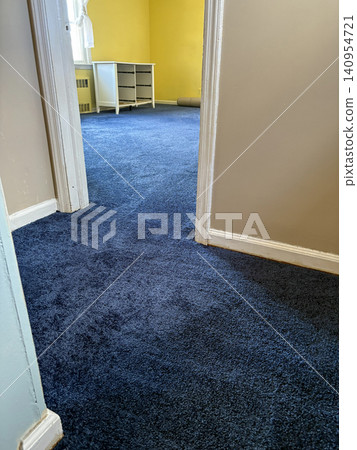 Newly installed blue carpet in hall and bedroom Newly installed blue carpet in hall and bedroom 140954721