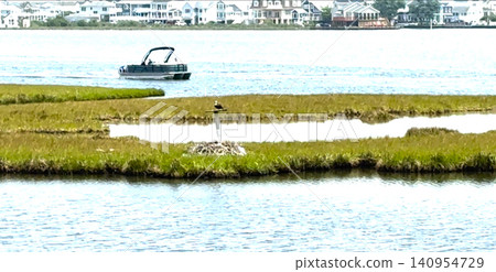Osprey Nest on a Marsh With a Boat in the Background in Summer Osprey Nest on a Marsh With a Boat in the Background in Summer 140954729
