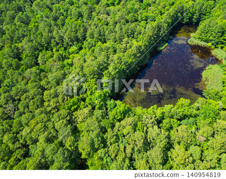 Nature aerial view. Landscape of green forest. Summer forest. Scenic landscape of woodland. Aerial view of lake in forest. Aerial view green forest and lake landscape in spring. Ecological balance 140954819